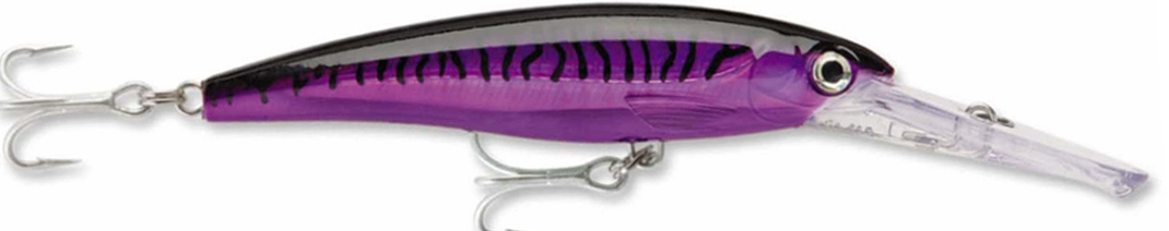 (PM) Purple Mackerel